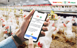 VPBank đồng hành cùng True Money triển khai sản phẩm tài chính hỗ trợ đại lý C.P Việt Nam