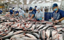 Mỹ giảm thuế đối với mặt hàng cá tra Việt Nam