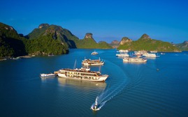 Vịnh Hạ Long – Quần đảo Cát Bà chính thức được UNESCO ghi danh là di sản thiên nhiên thế giới