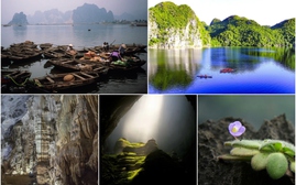 Ngắm 3 Di sản Thiên nhiên Thế giới ở Việt Nam