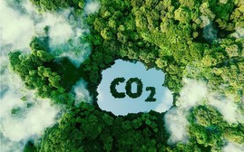 Ra mắt sàn giao dịch tín chỉ carbon đầu tiên tại Việt Nam