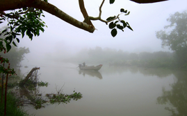 Thời tiết ngày 21/2: Hà Nội và phía Đông Bắc Bộ có sương mù, mưa phùn