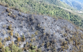 Cháy rừng ở Sa Pa: Hoàn toàn dập tắt các điểm cháy trong Vườn quốc gia Hoàng Liên