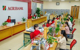 Agribank phát hành 10.000 tỷ đồng trái phiếu ra công chúng năm 2024