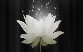 LỜI CHIA BUỒN TỚI GIA ĐÌNH ĐỒNG CHÍ NGUYỄN TIẾN DŨNG