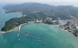 Quảng Ninh lập các khu bảo tồn biển