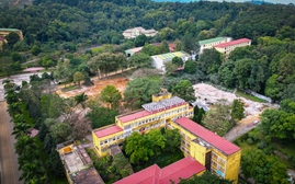 Đến đâu để giao nộp động vật hoang dã quý hiếm, nguy cấp?