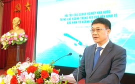 Góc nhìn từ ngành hàng không: Vai trò của doanh nghiệp nhà nước trong nền kinh tế
