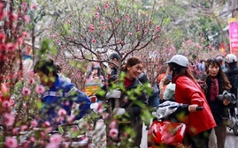 Rộn ràng chuẩn bị Tết, thị trường nguồn cung hàng hóa ổn định