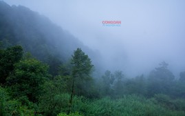 Thời tiết miền Bắc chuyển lạnh từ hôm nay (30/10)