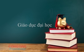 Giáo dục đại học: Giảng viên được đánh giá theo chuẩn nghề mới?