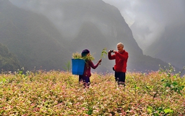 Hội An, cung đường Hà Giang nổi trội trong các điểm đến du lịch thu - đông