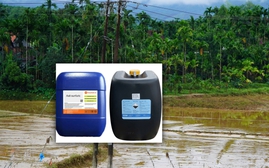 100 can axit sunfuric được cảnh báo là "rất nguy hiểm"