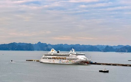 520 đơn vị du lịch hội tụ ở "Ngày Lữ hành Việt Nam 2025" tại Quảng Ninh