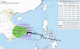 Bão số 15 giảm cấp và suy yếu dần