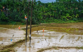 Khôi phục toàn bộ cấp điện cho đồng bào miền Trung sau lũ