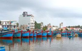 Tỉnh Quảng Ngãi yêu cầu công bố số điện thoại đường dây nóng của cấp xã để ứng phó bão số 13