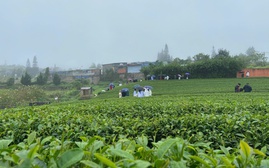 Thời tiết lạnh tiếp tục duy trì tại Miền Bắc