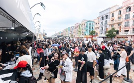 Ocean City "bùng nổ" trước giờ G: Fan Việt và quốc tế cuồng nhiệt đổ về, tạo nên trải nghiệm âm nhạc hiếm có