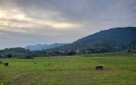 Thời tiết nửa cuối tháng 12: Nhiều hình thái thời tiết nguy hiểm