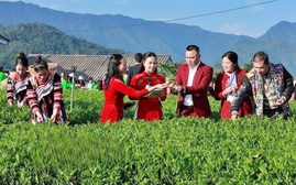 Bắt đầu chuỗi hoạt động trải nghiệm văn hóa Lễ hội “Thái Nguyên - Hương sắc danh trà” 2025