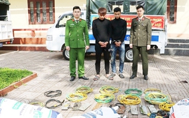 Hai đối tượng thực hiện 150 vụ trộm tài sản trong vòng 20 ngày