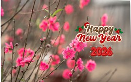 Thủ tướng chỉ đạo tổ chức Tết Bính Ngọ 2026 vui tươi, an toàn, tiết kiệm