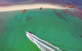 Quảng Ninh thành lập Khu bảo tồn biển Cô Tô - Đảo Trần