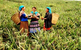 Sắc mới Bản Lầu