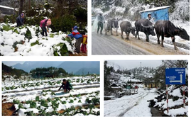 Không khí lạnh bao trùm miền núi, nhiều nơi dưới 10 độ C