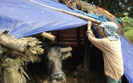 Không khí lạnh tăng cường, Bắc Bộ rét đậm