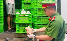 20 tấn gà "bẩn", gà ủ muối kém chất lượng chuẩn bị bán ra thị trường bị phát hiện ngăn chặn