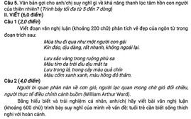 Đề thi thử tốt nghiệp môn bong da truc tiep: Người lạc quan mong chờ gió đổi chiều
