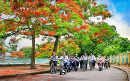 xem bong da truc tiep ngoai hang anh - "Thành phố Anh hùng"