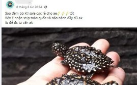 10 nhóm chuyên rao bán động vật hoang dã bị gỡ bỏ vĩnh viễn trên không gian mạng
