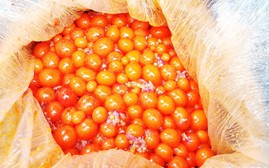 Thu giữ hơn 2,5 tấn thực phẩm vô chủ tại khu cách ly cửa khẩu Lào Cai