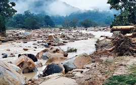 Lũ quét bản Long Thắng, biên giới Nghệ An tan hoang