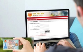 Hướng dẫn của ngành thuế về sử dụng số định danh cá nhân thay cho mã số thuế