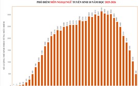 Phổ điểm thi vào lớp 10 Thành phố Hồ Chí Minh: Những khác biệt giữa hai Chương trình
