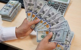 Giá USD chạm mức đỉnh, chuyên gia dự báo thế nào?