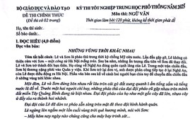 Đề Ngữ văn thi tốt nghiệp trung học phổ thông 2025