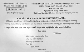 Đề thi, gợi ý đáp án Ngữ văn thi vào lớp 10