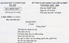 "Hạnh phúc" vào đề Ngữ văn thi vào lớp 10 tại Hà Nội