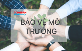 Bảo vệ môi trường bằng nhiều biện pháp hiệu quả