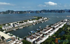 Quảng Ninh: Tạm dừng cấp phép rời cảng đối với tàu khách du lịch