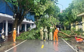 Điện lực Lào Cai khôi phục lưới điện cho 370 khách hàng sau dông lốc bất ngờ