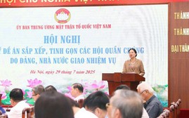 Trình Bộ Chính trị quyết định Đề án sắp xếp, tinh gọn các Hội quần chúng do Đảng, Nhà nước giao nhiệm vụ trước 31/8