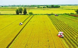 Miễn thuế sử dụng đất nông nghiệp đến hết năm 2030