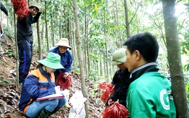 Lào Cai lập 2 tổ công tác chuyên trách đất đai đẩy nhanh giải phóng mặt bằng tuyến đường sắt tốc độ cao