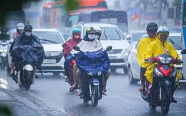 Kế tiếp bão số 5, Biển Đông có thể thêm áp thấp